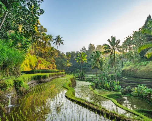 iStock-1469116195_baja