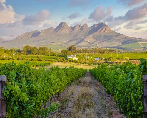 iStock-1477029127_baja