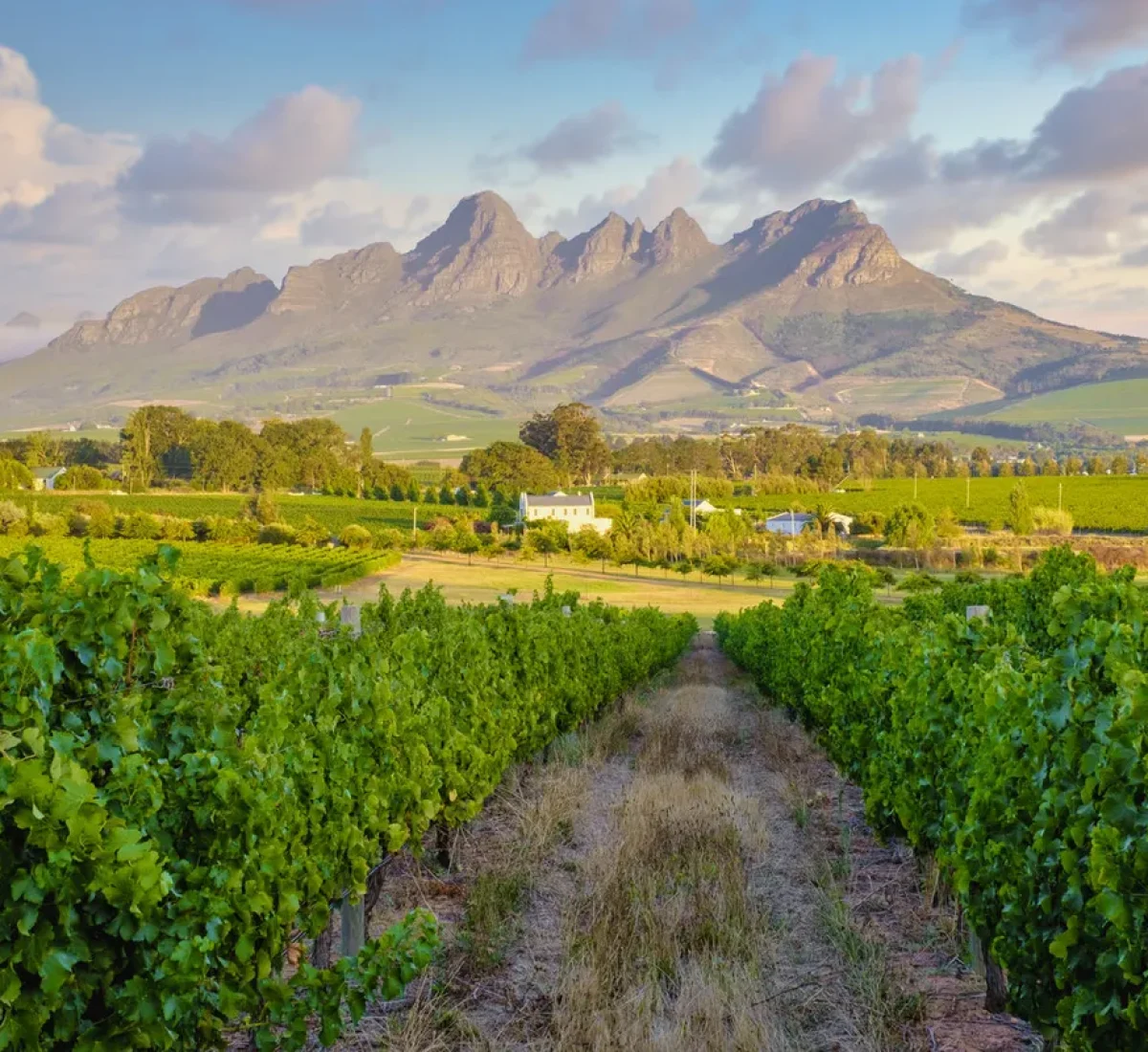 iStock-1477029127_resultado_BAJA