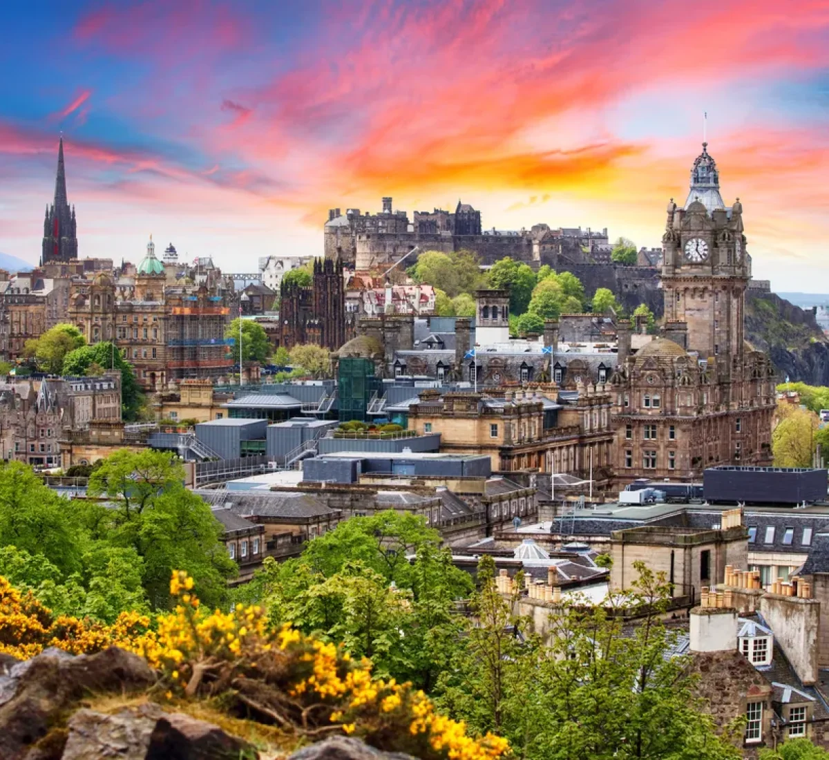 iStock-1493119096_BAJA