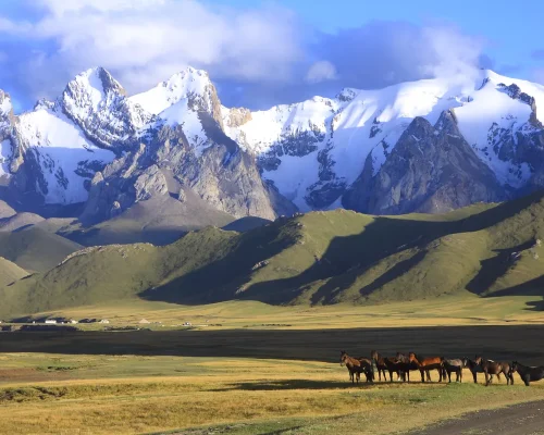 iStock-156209467_BAJA