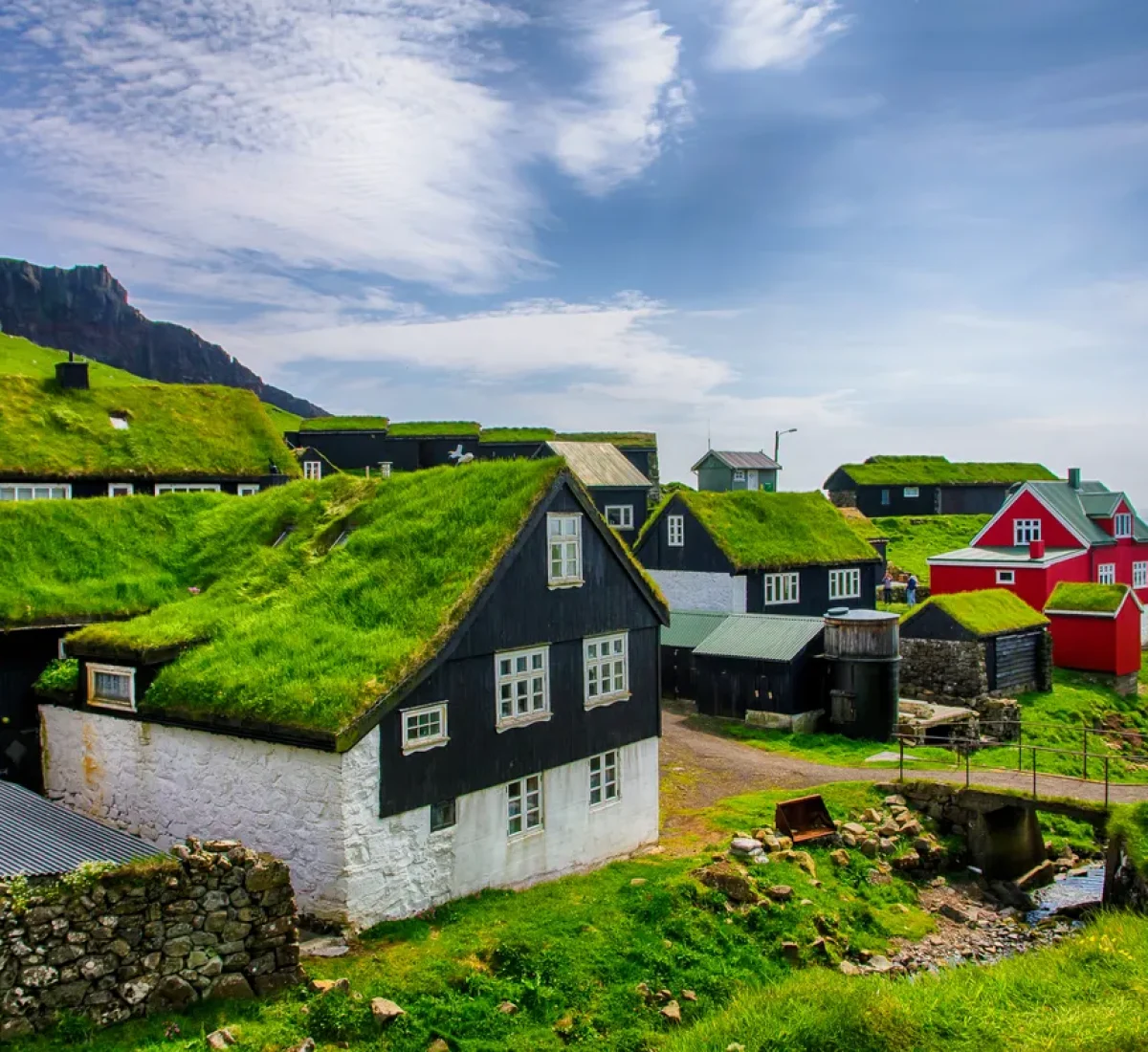 iStock-1595347179_BAJA