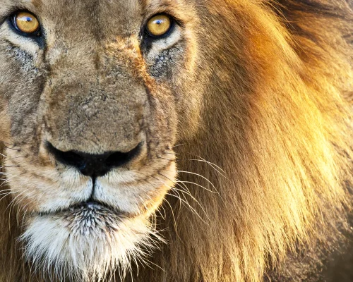 iStock-175683200_baja