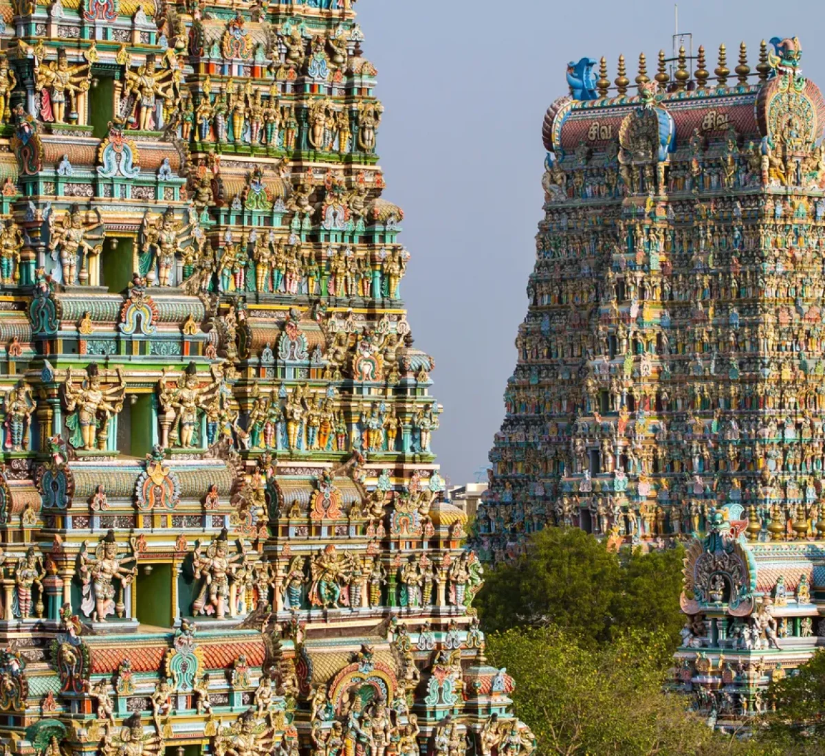 iStock-178708210_BAJA