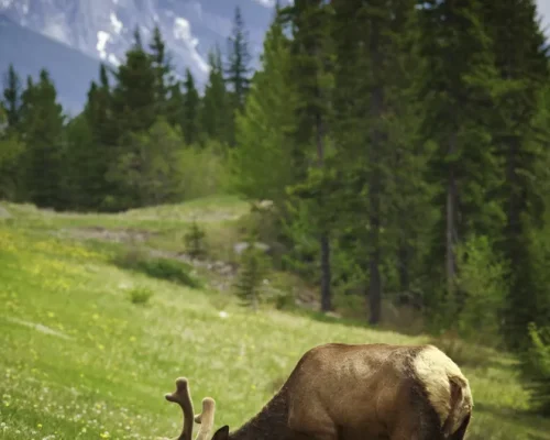 iStock-181128222_baja