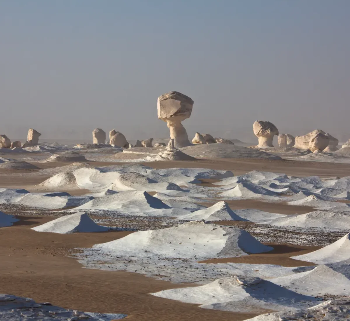 iStock-184101259_BAJA