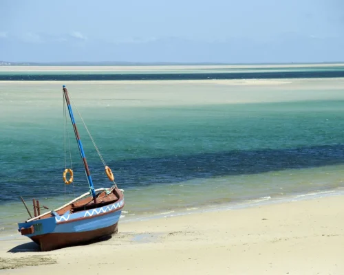 iStock-186213867_baja