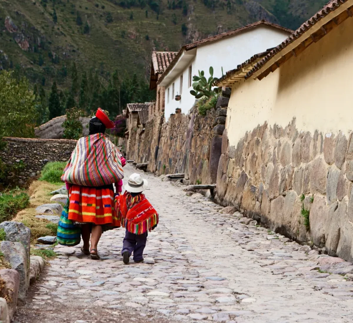 iStock-186868180_BAJA