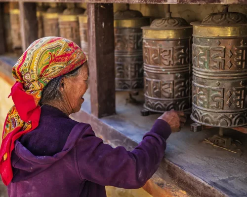 iStock-1919175308_baja