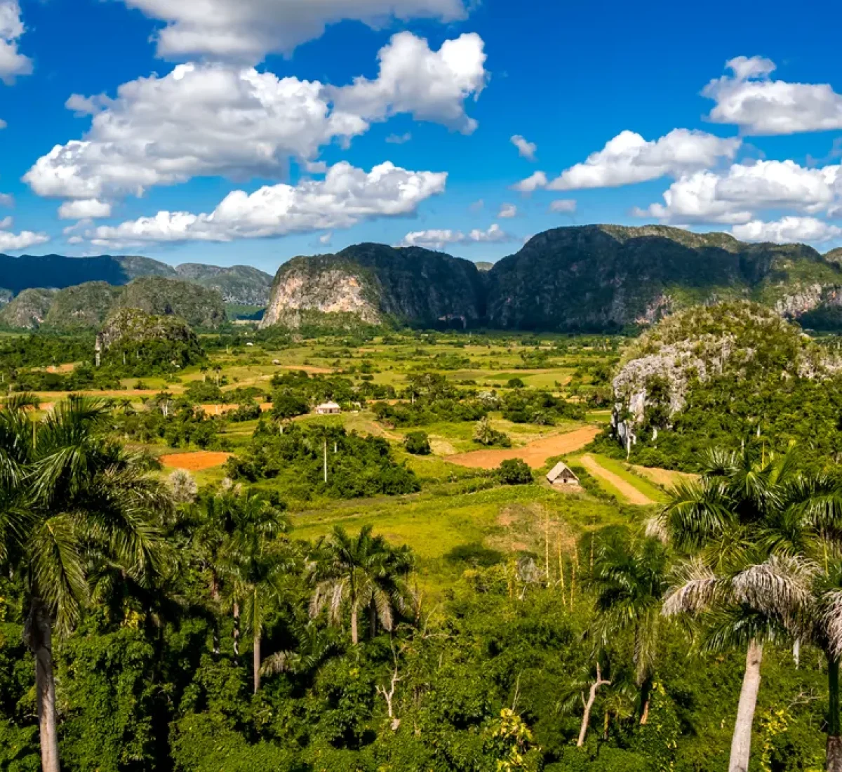 iStock-1932099555_BAJA