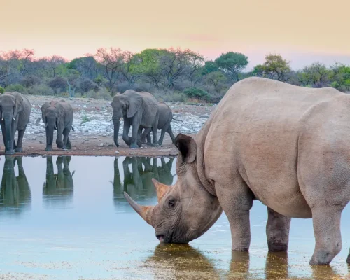 iStock-1934778498_BAJA