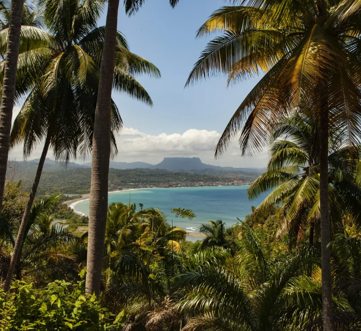 iStock-2154913868_BAJA