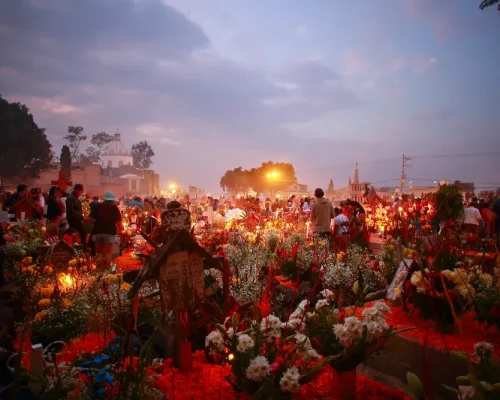 iStock-2165965897_BAJA