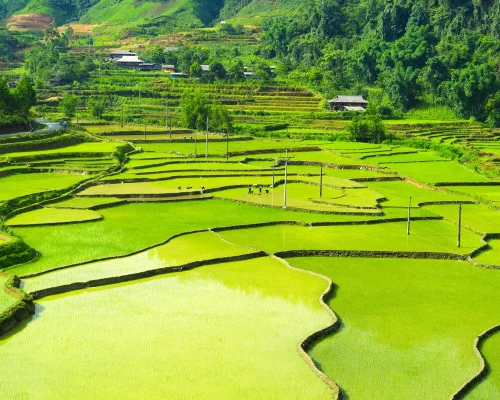 iStock-2171742790_baja