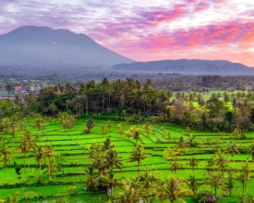 iStock-2179032607_baja