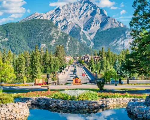 iStock-2180414105_baja