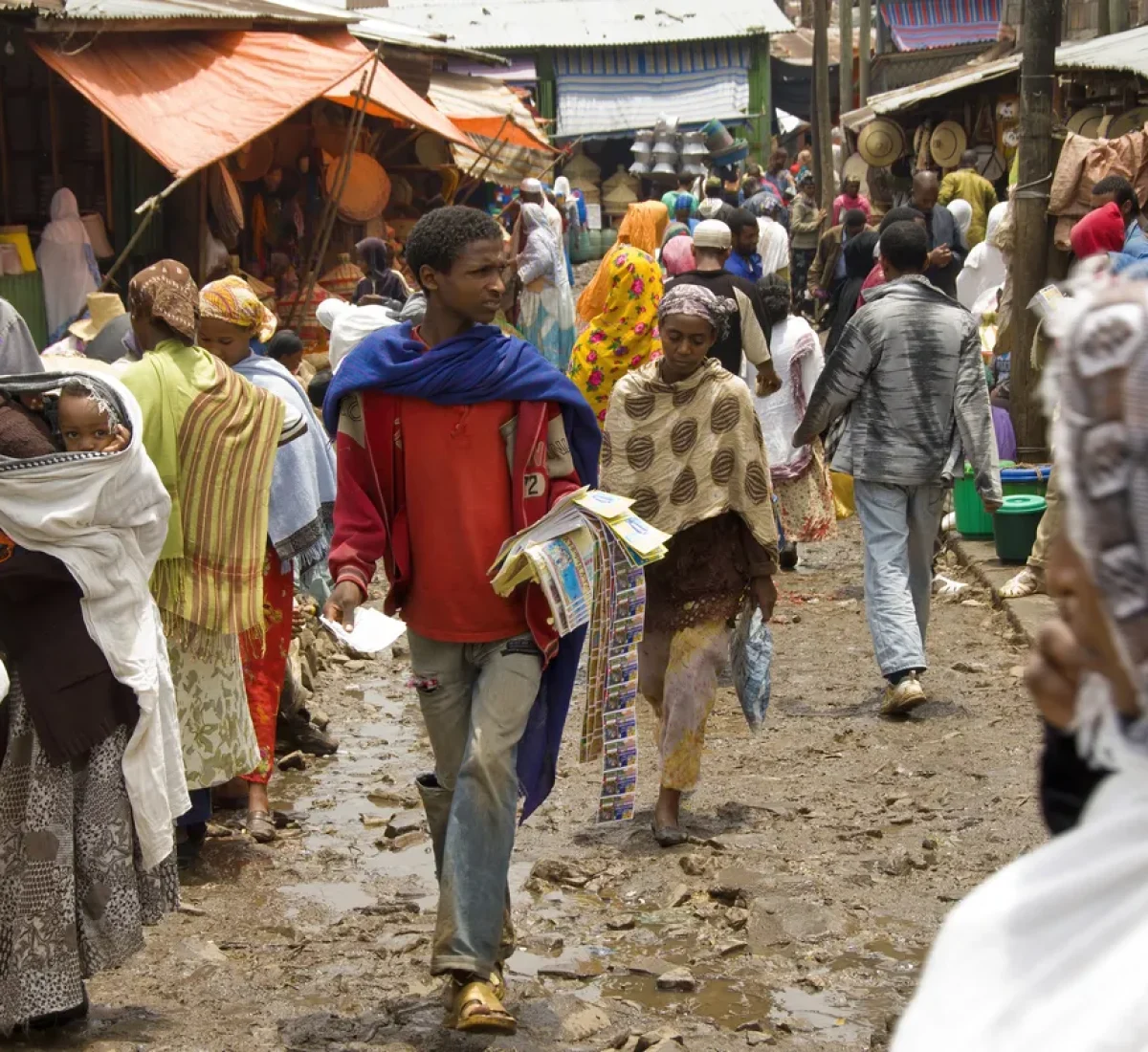 iStock-2186156508_BAJA