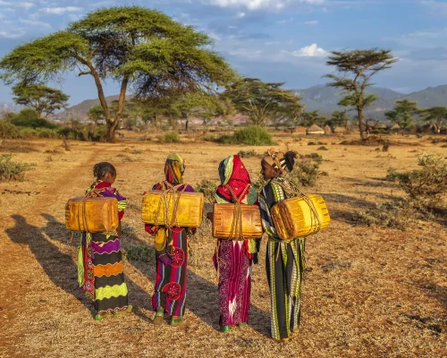 iStock-2187432126_BAJA