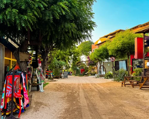 iStock-2188514118_BAJA