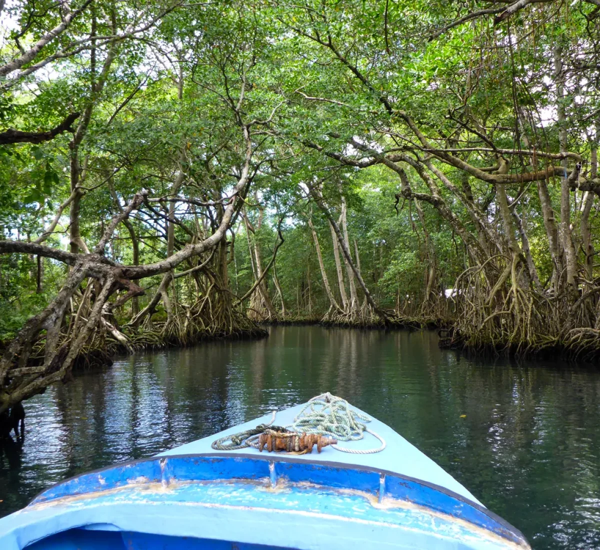 iStock-2198144319_BAJA