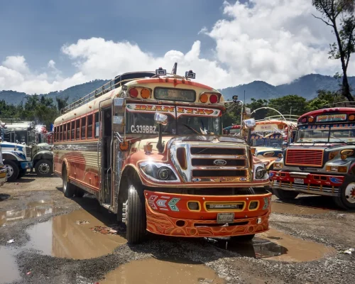 iStock-2220806374_baja