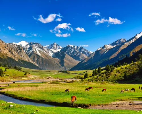 iStock-2222102112_baja