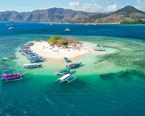 iStock-2222208047_baja