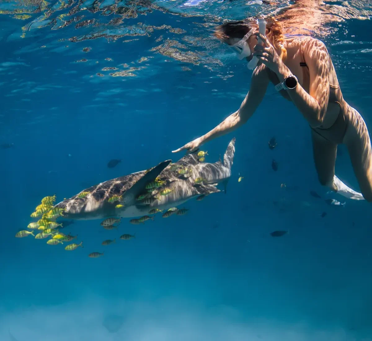 iStock-2226685351_BAJA