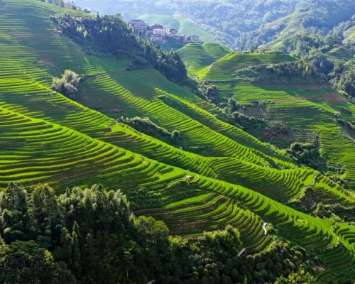 iStock-2231089142_BAJA