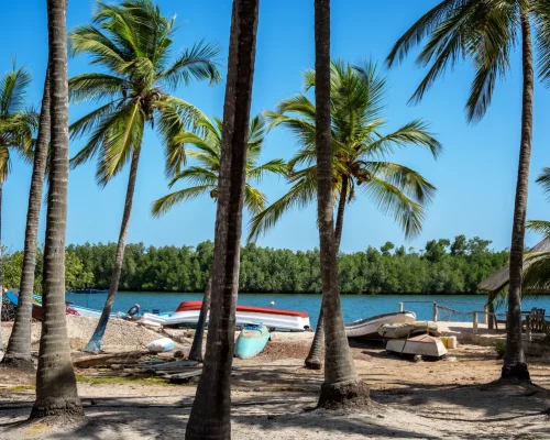 iStock-2238524725_baja