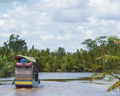 iStock-454997357_baja