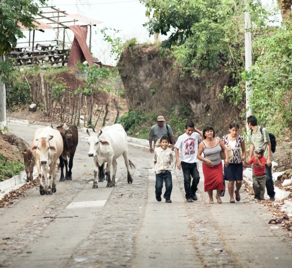 iStock-458545147_baja