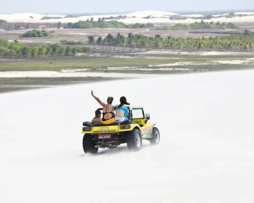 iStock-458589049_baja