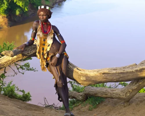 iStock-459030083_BAJA