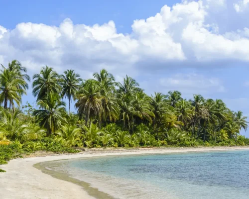 iStock-466654876_BAJA