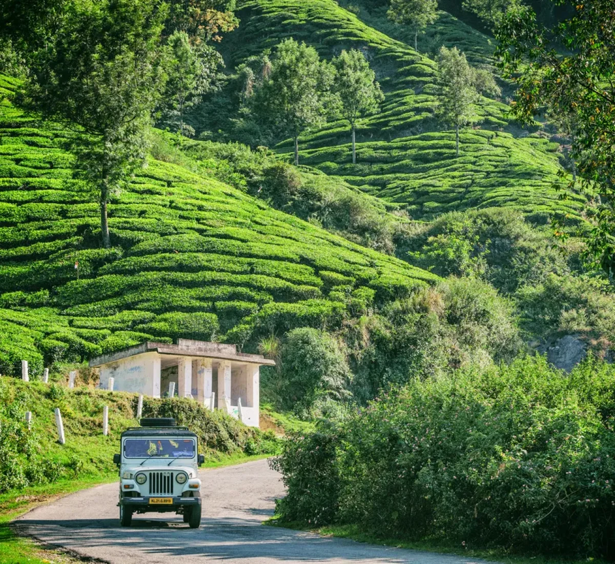 iStock-473549216_BAJA