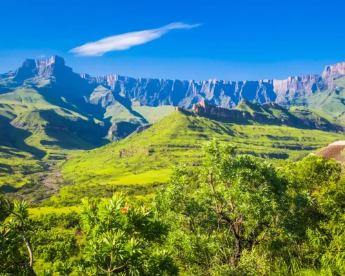 iStock-475344616_baja