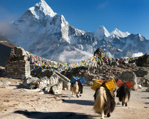 iStock-476505580_baja