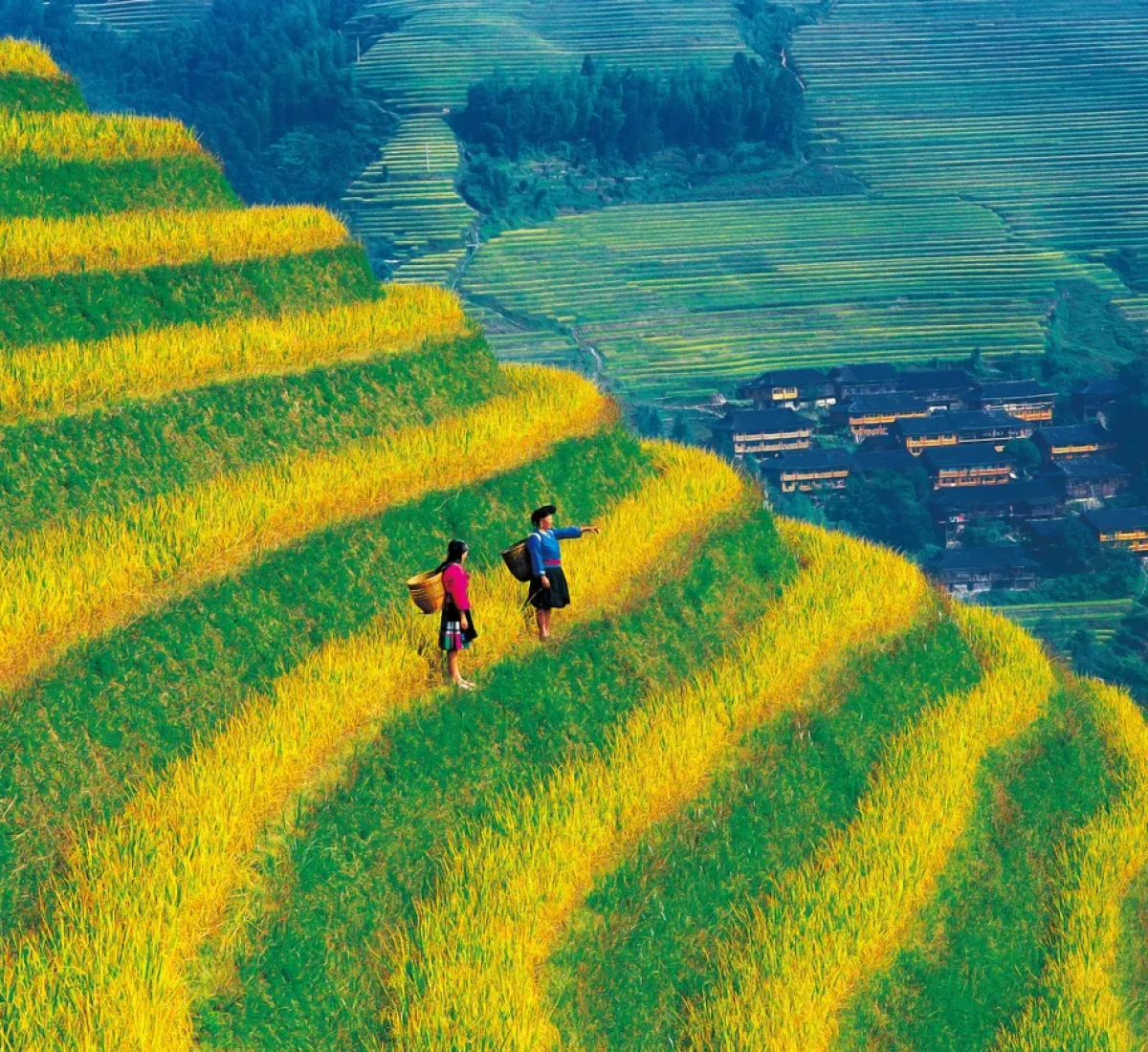 iStock-476901361_BAJA