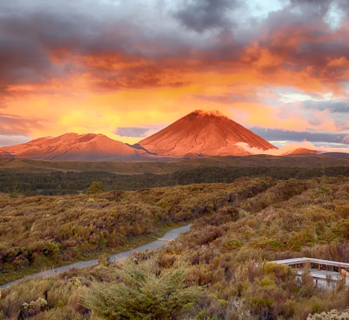 iStock-494434051_BAJA