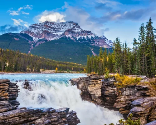 iStock-511585926_baja