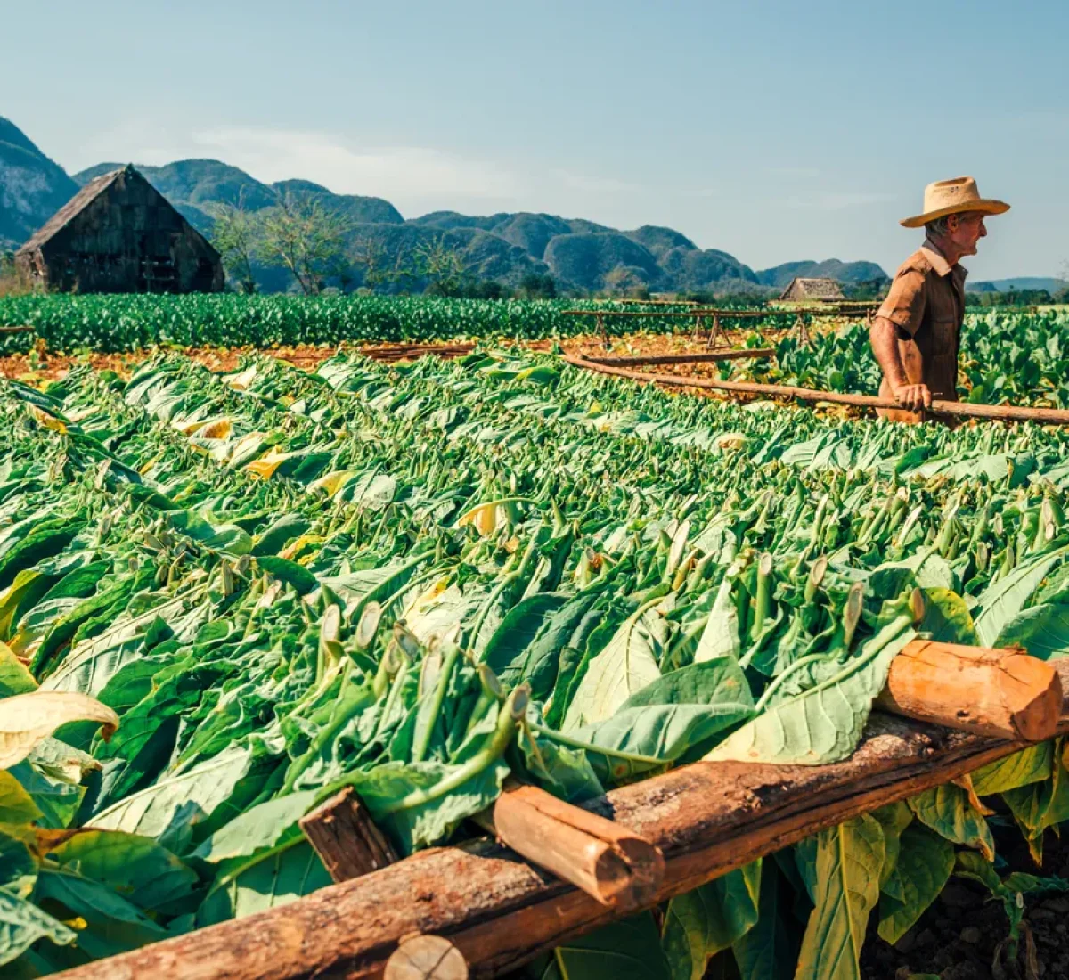 iStock-519119288_BAJA