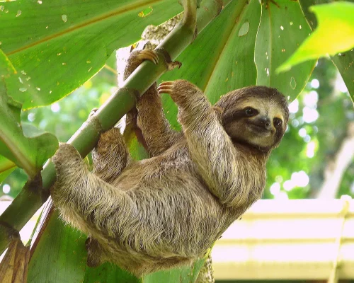 iStock-528436939_BAJA