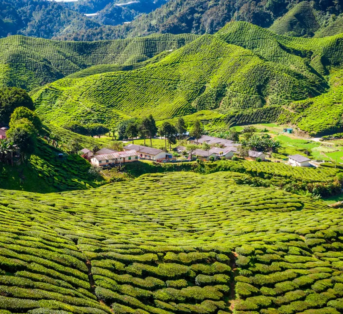 iStock-531847770_BAJA