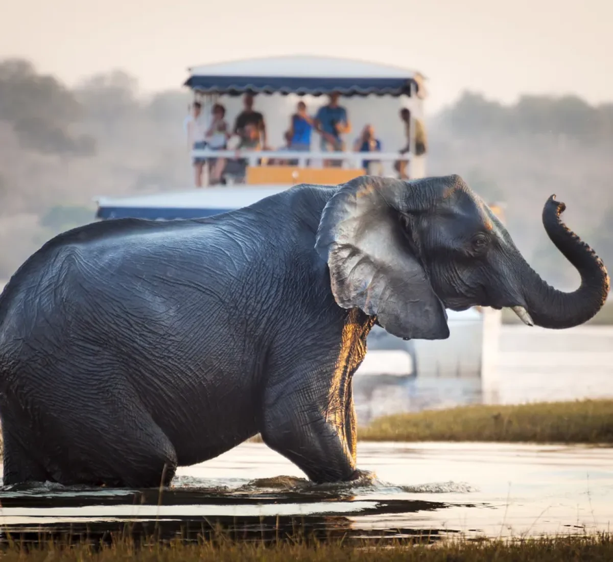 iStock-594930958_BAJA