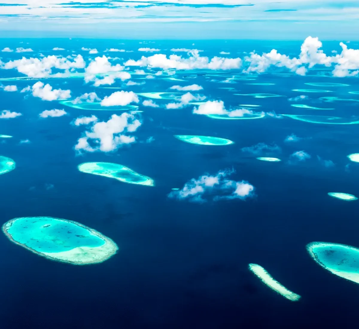 iStock-602307838_BAJA