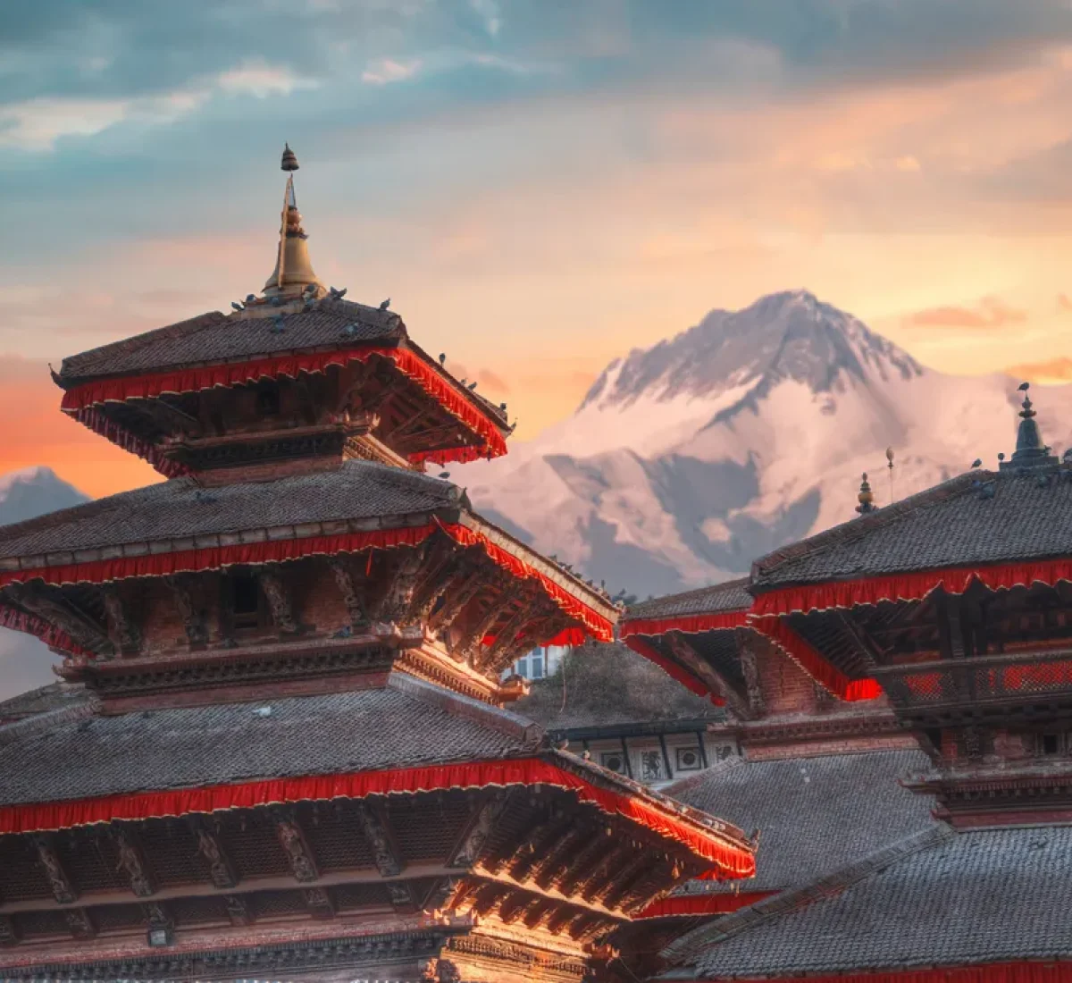 iStock-637696304_BAJA