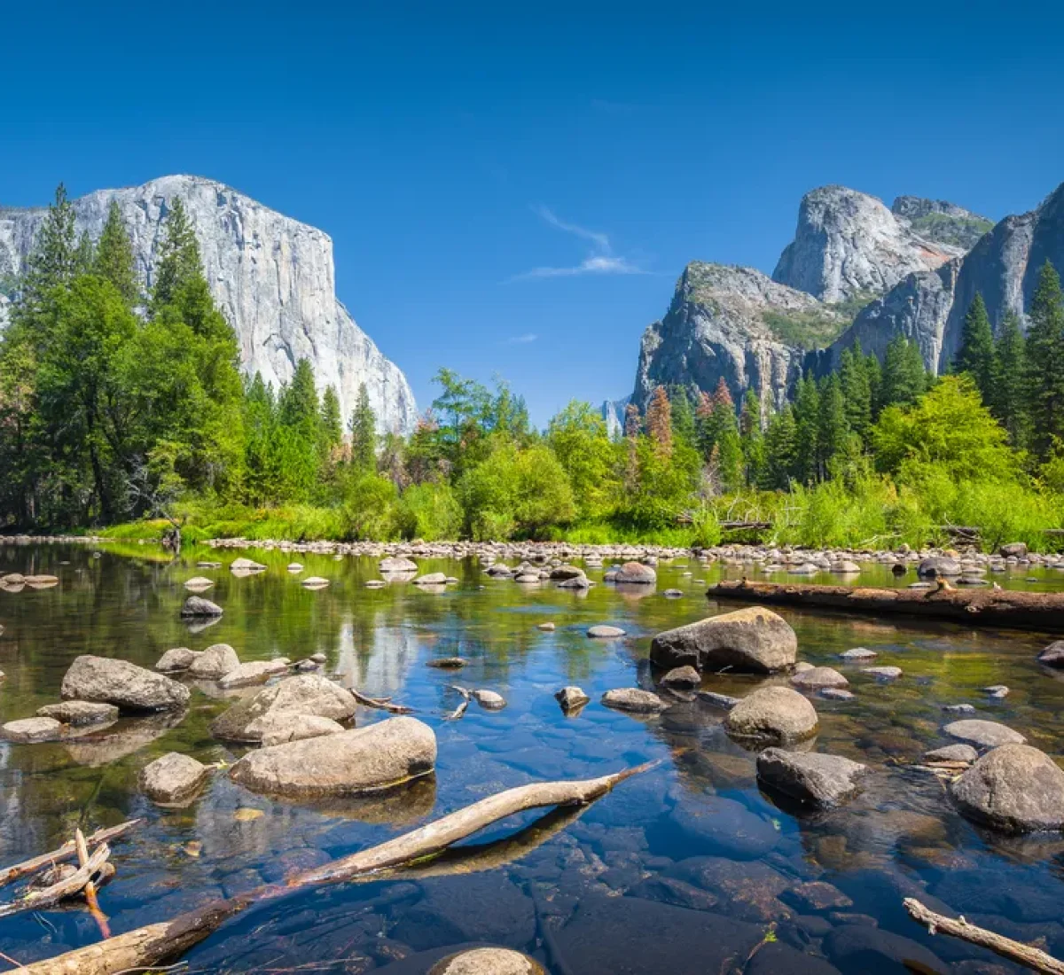 iStock-649271436_BAJA