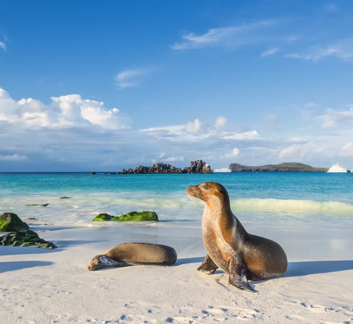 iStock-674781548_BAJA