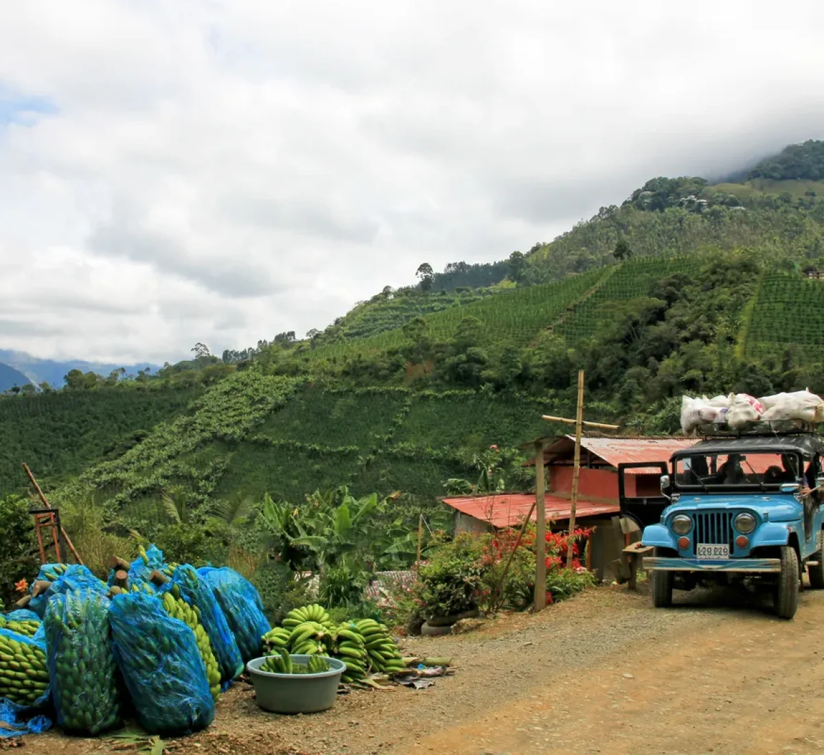 iStock-874070774_BAJA